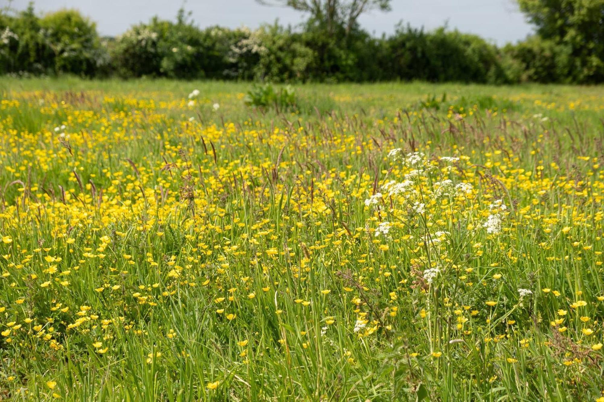 East Green Farm Cottages - The Granary Saxmundham Exteriör bild